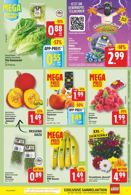 Flyer page 3