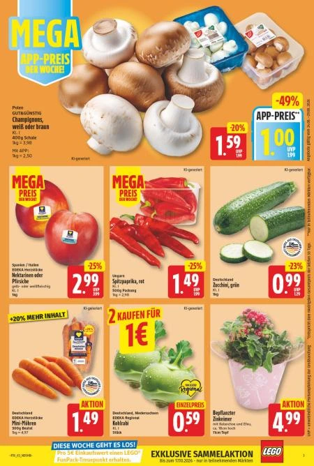 Flyer page 5