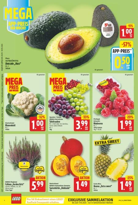 Flyer page 4
