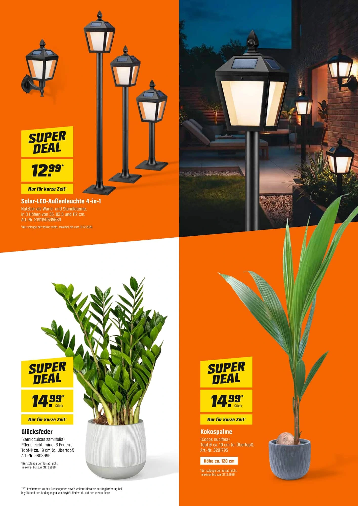 Flyer page 7