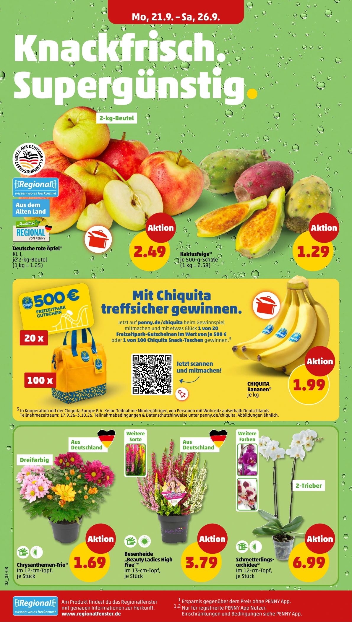 Flyer page 2