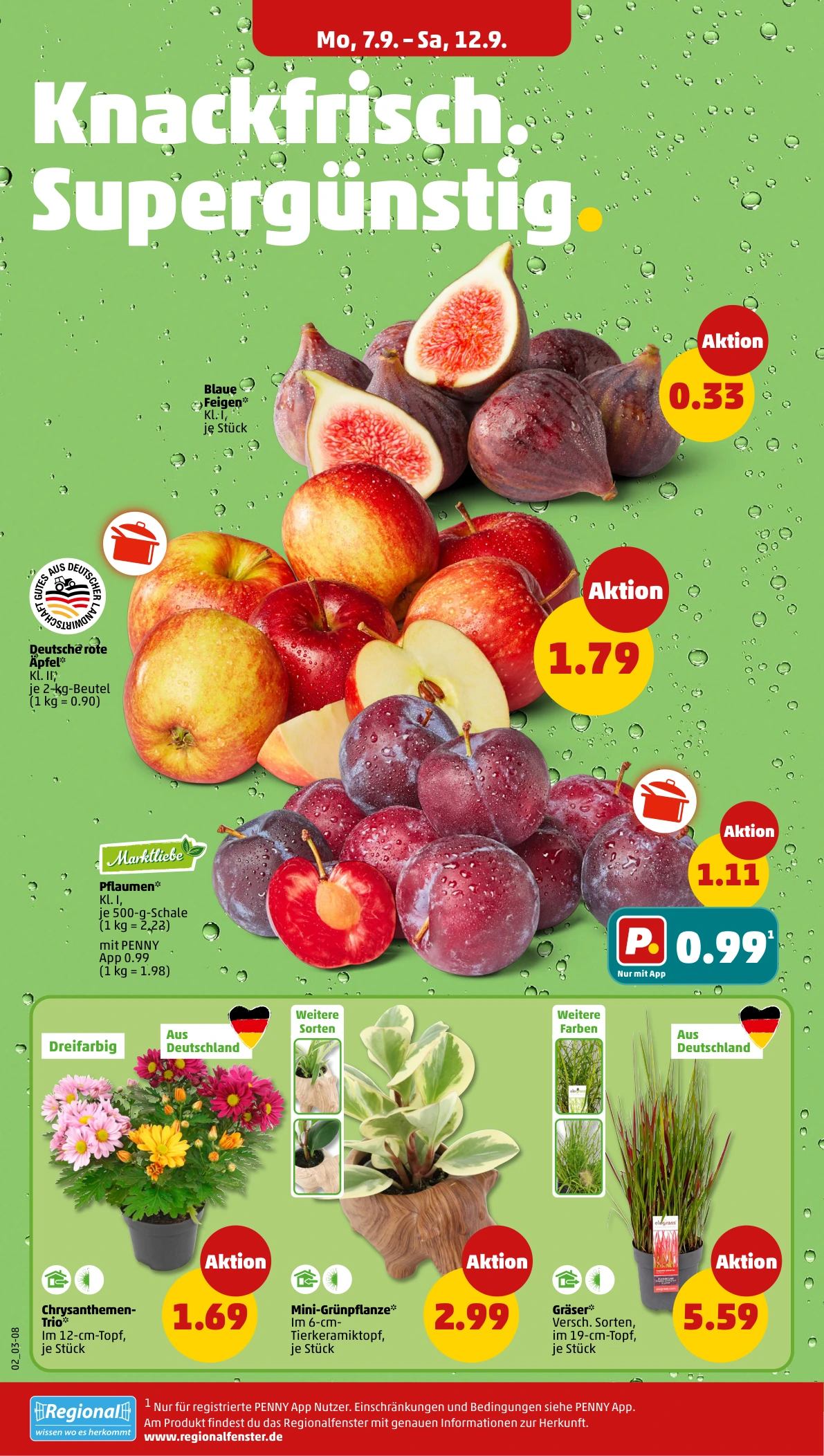 Flyer page 2