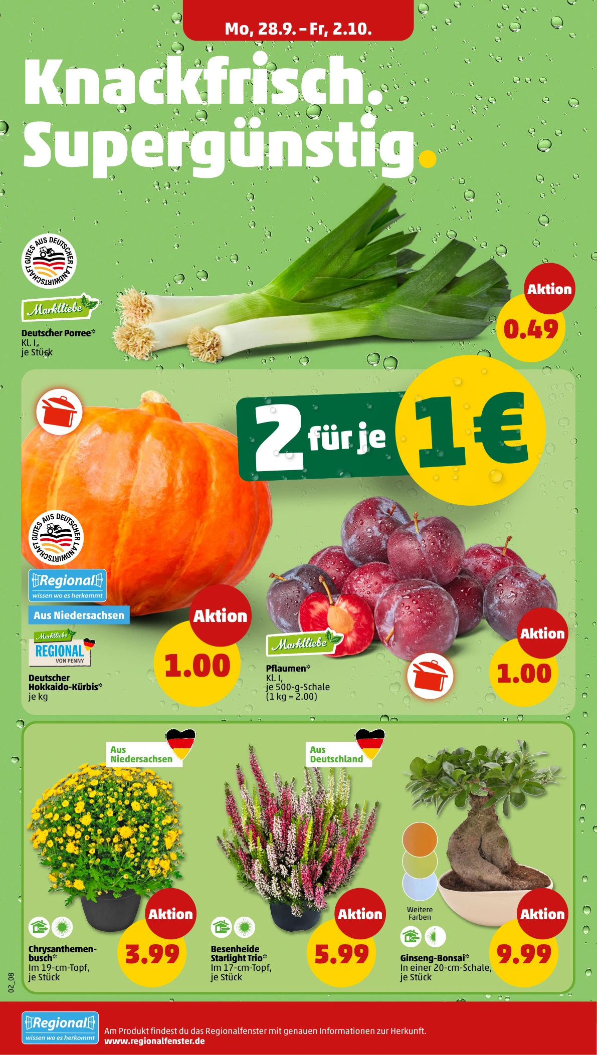 Flyer page 4