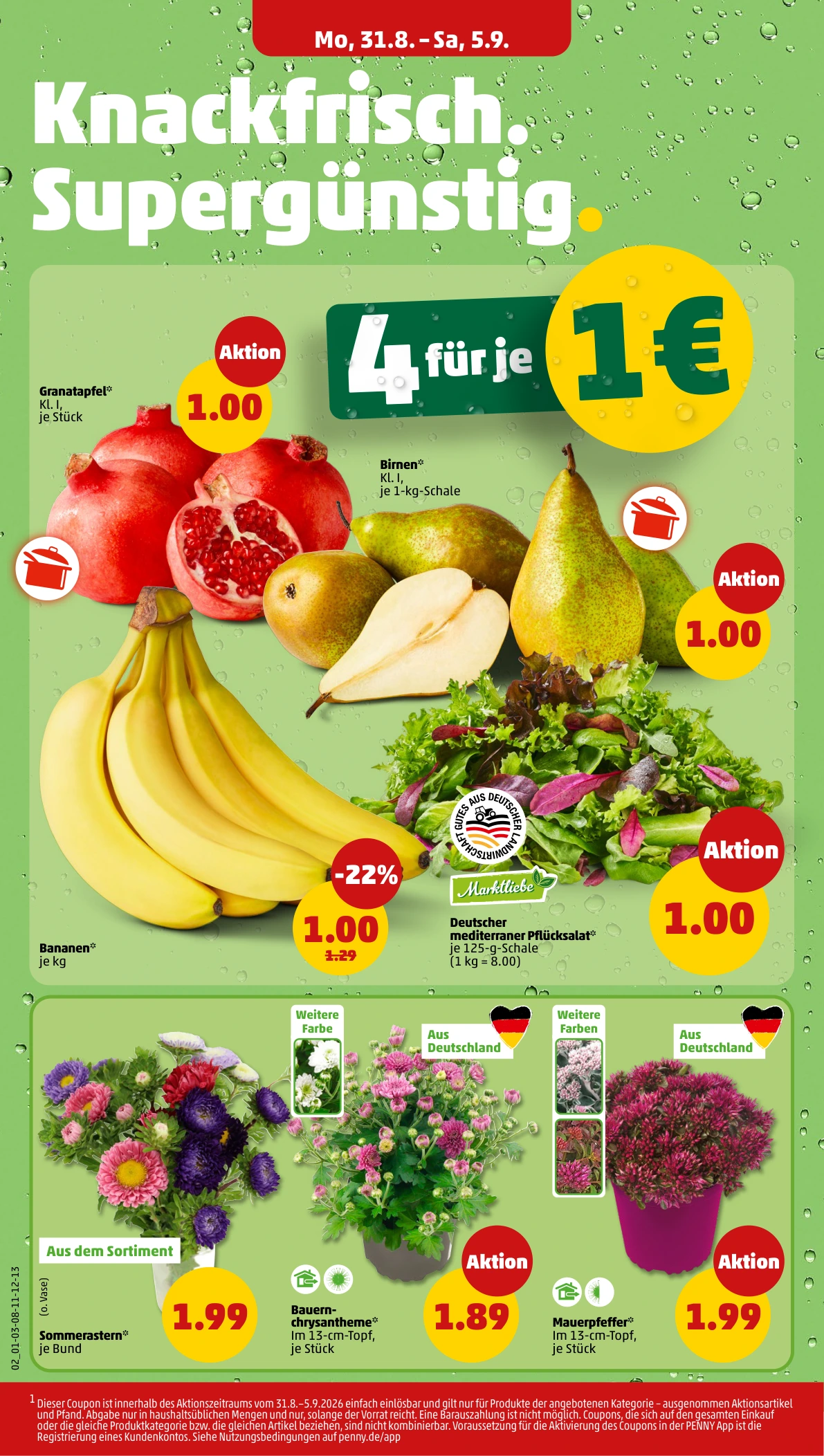 Flyer page 4