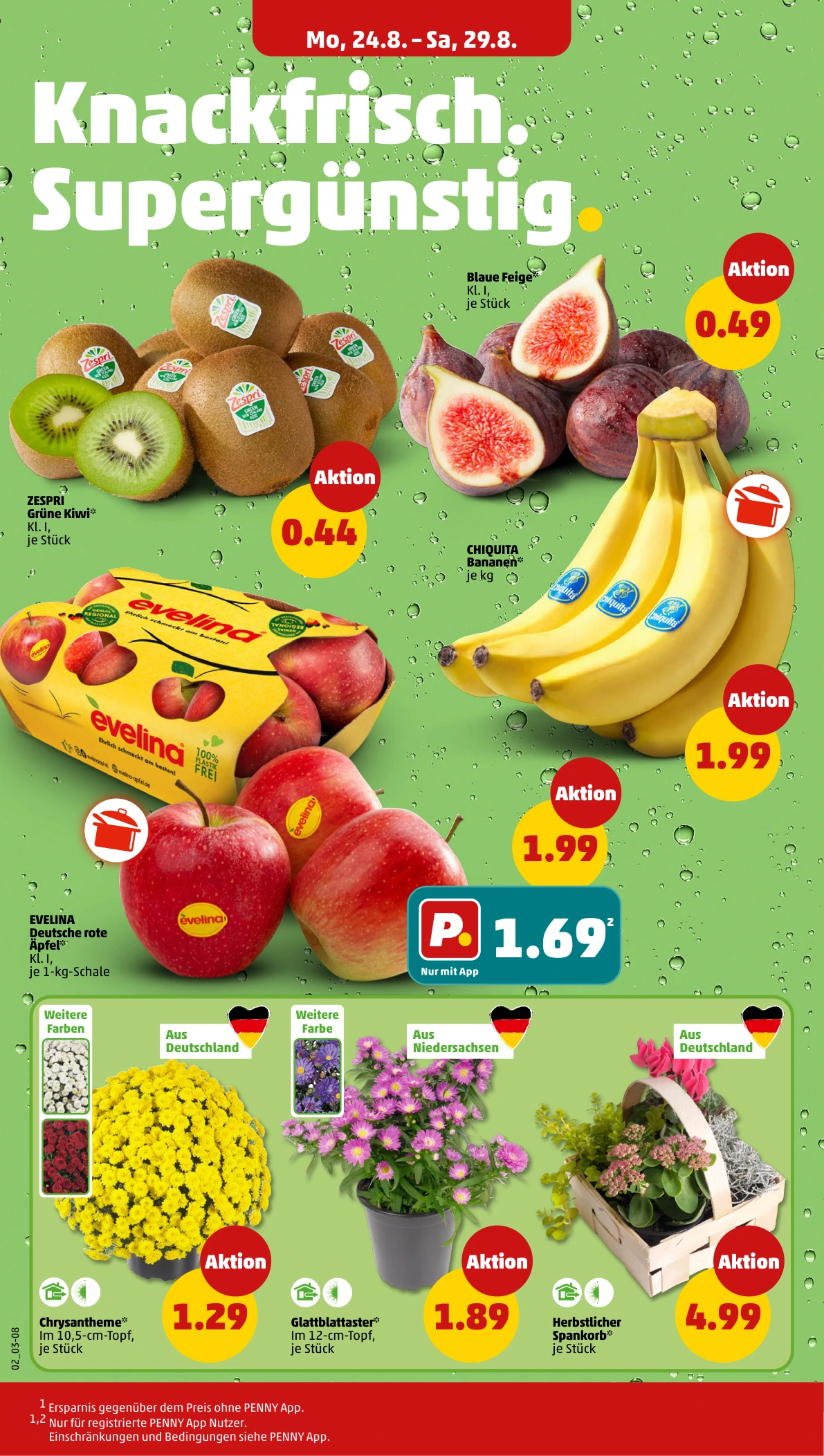 Flyer page 4