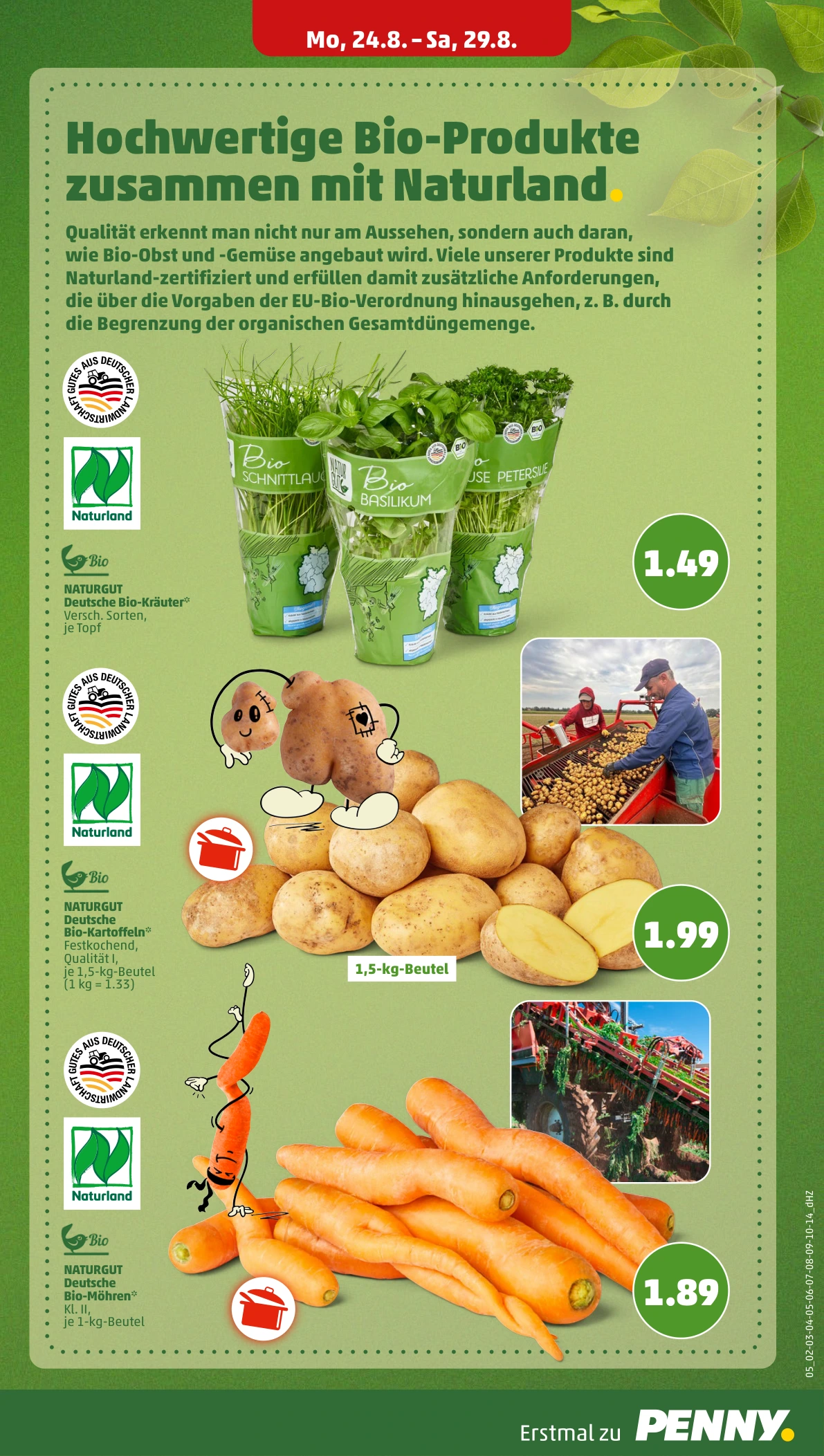 Flyer page 9