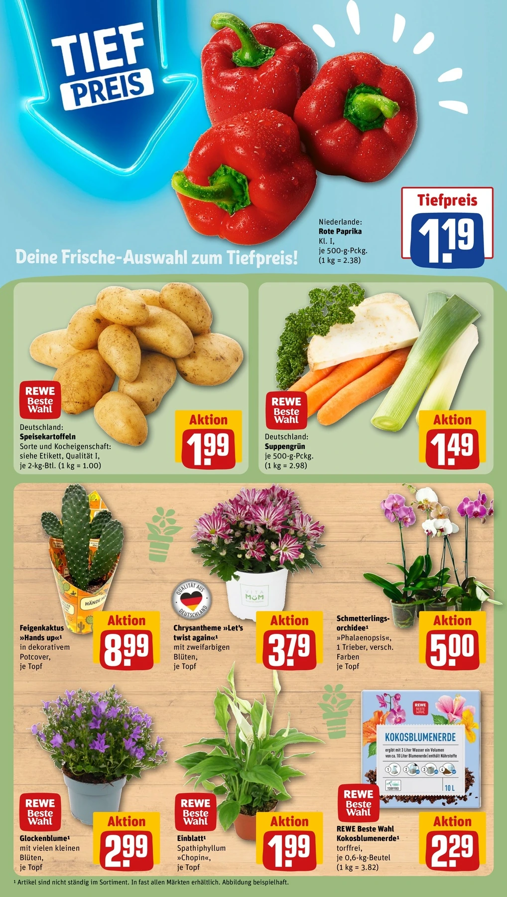 Flyer page 7