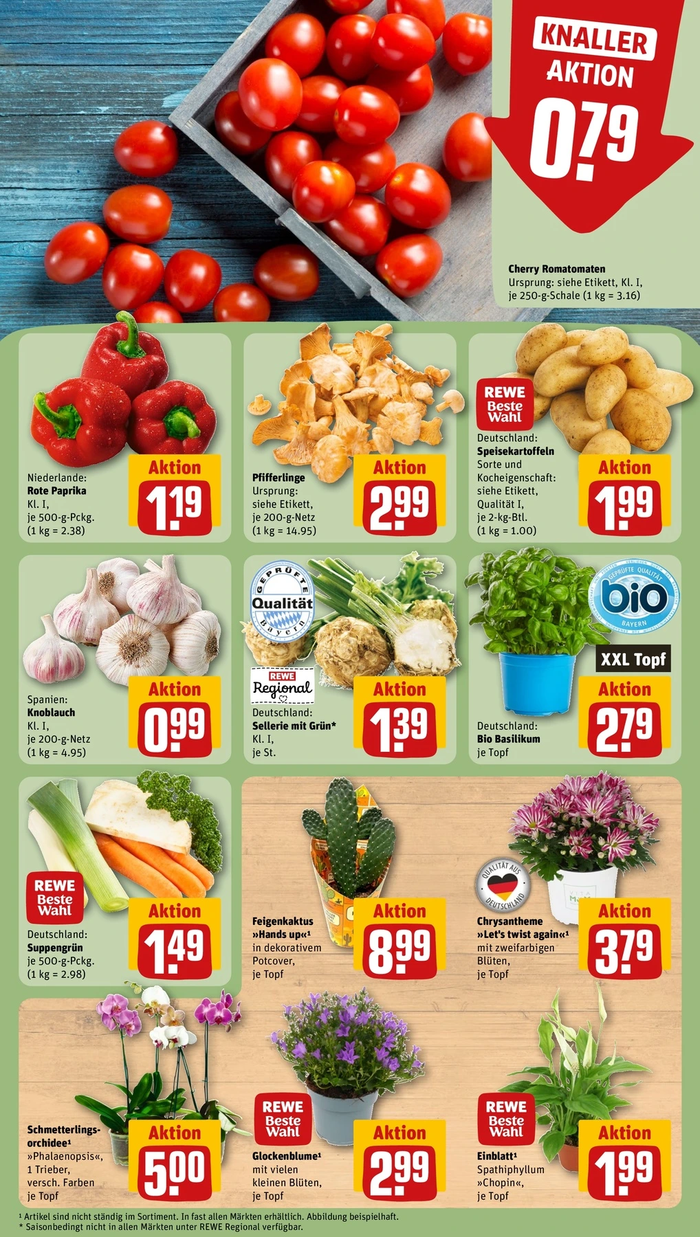 Flyer page 5