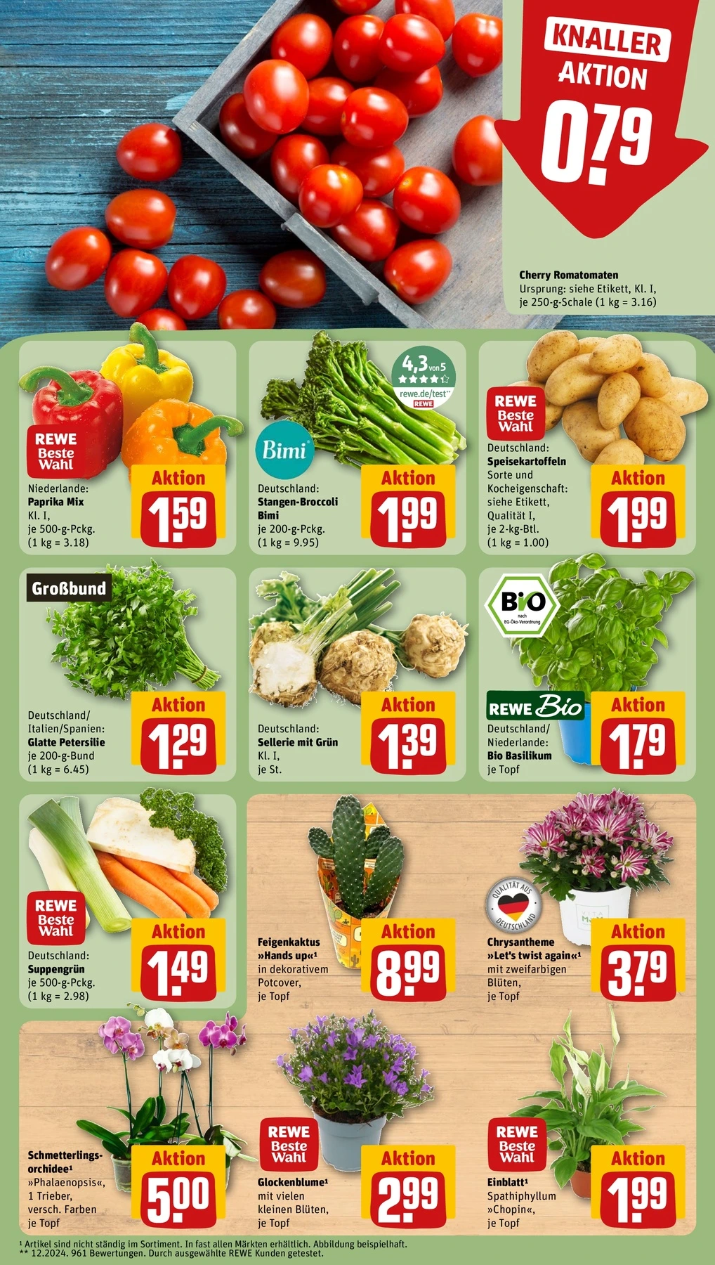 Flyer page 5