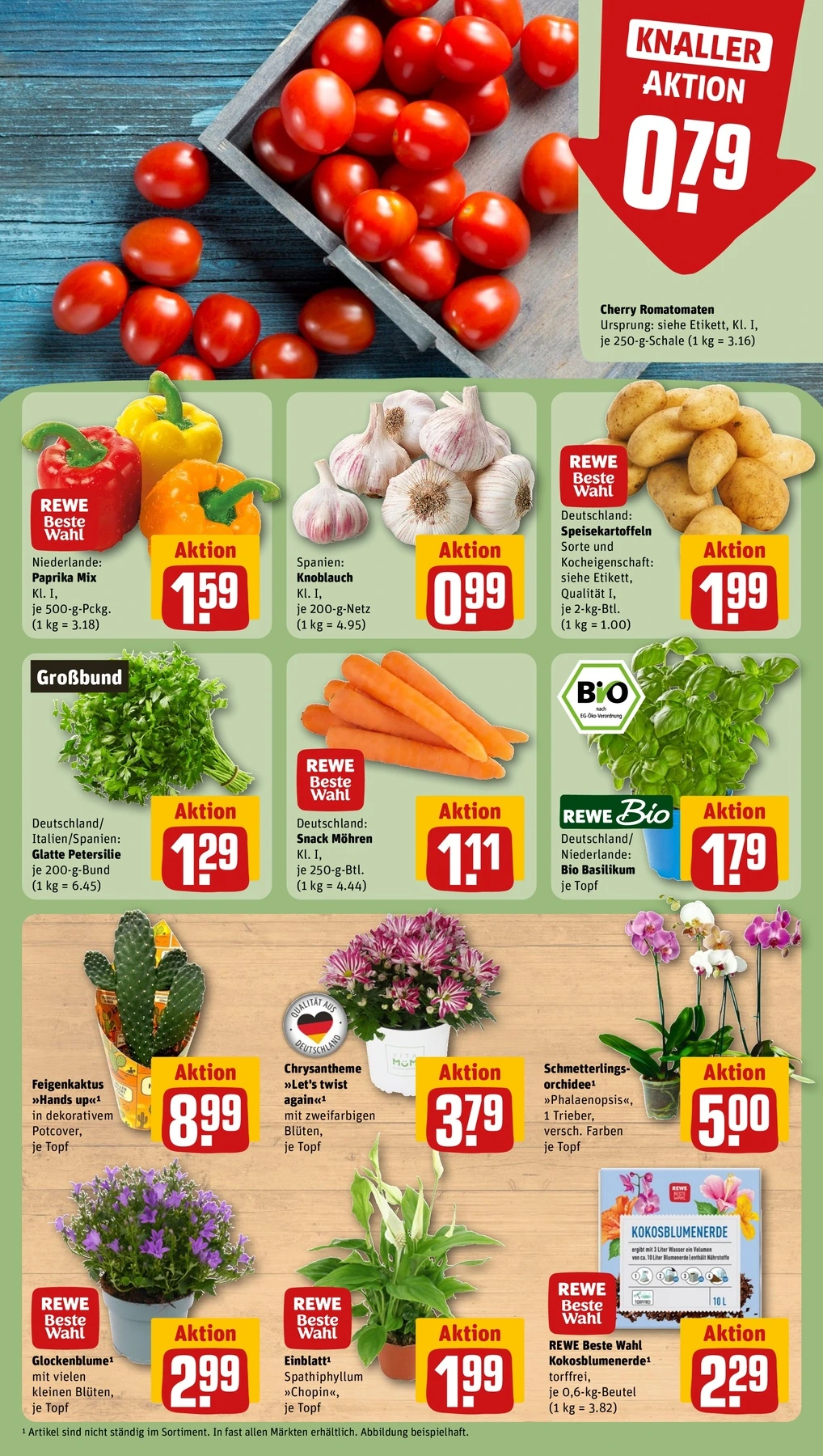 Flyer page 5