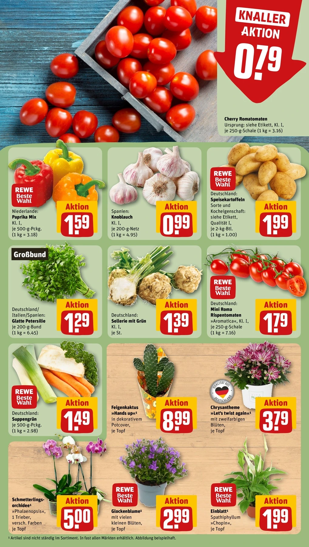 Flyer page 5