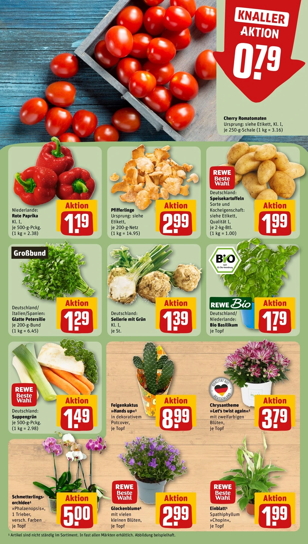 Flyer page 5