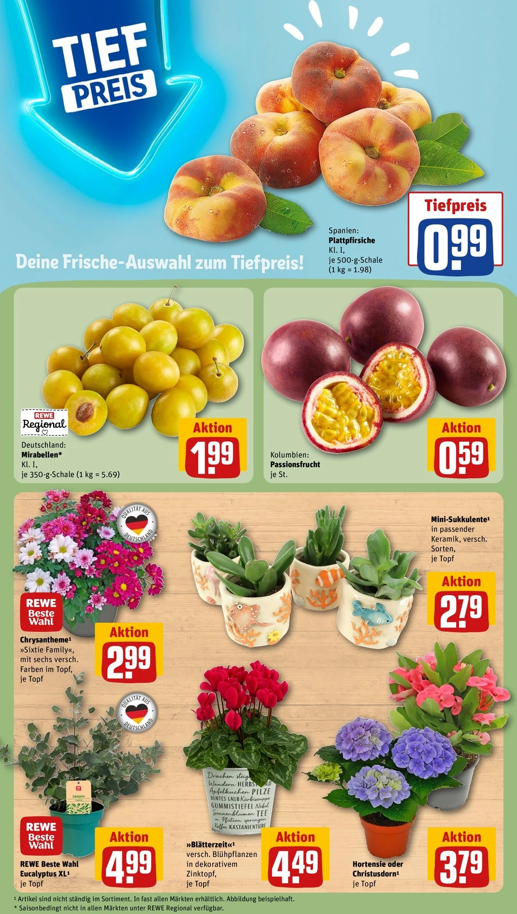 Flyer page 9
