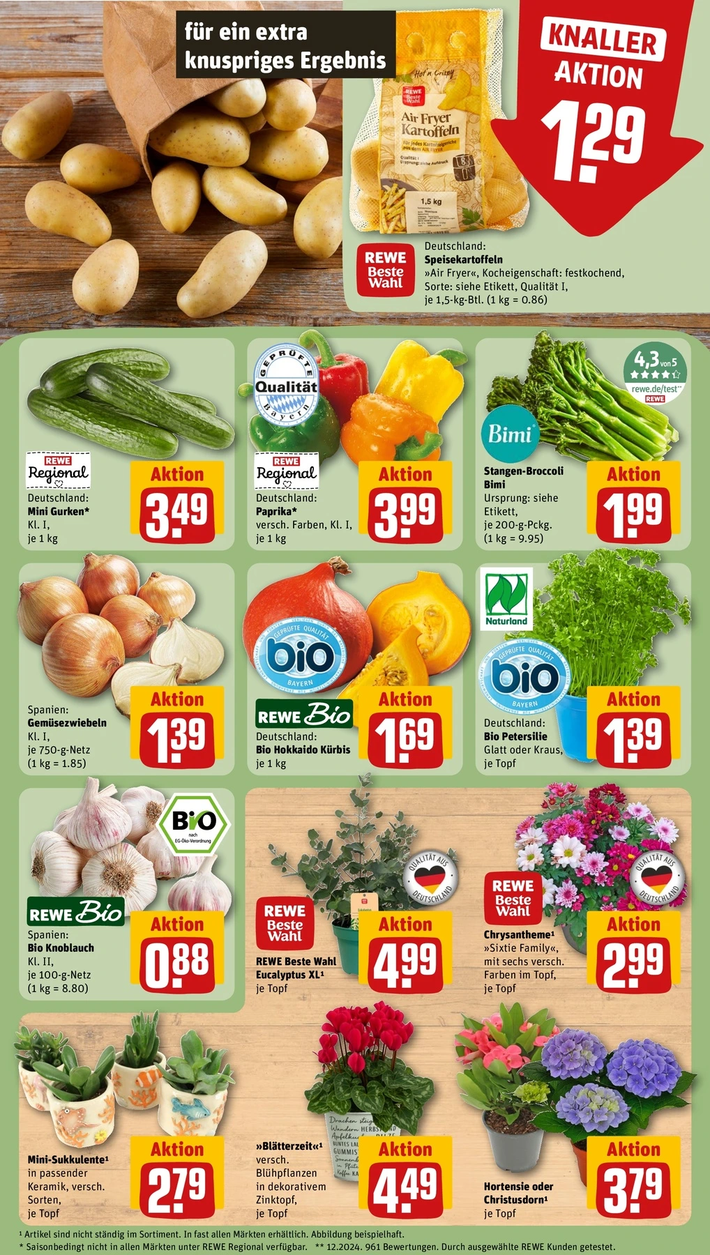 Flyer page 9