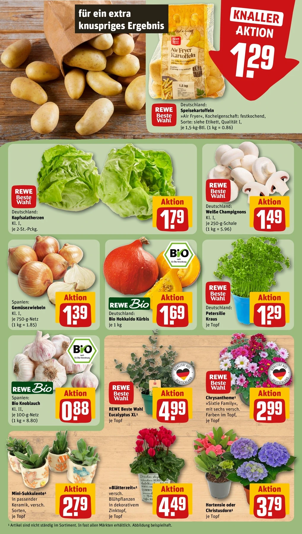 Flyer page 9