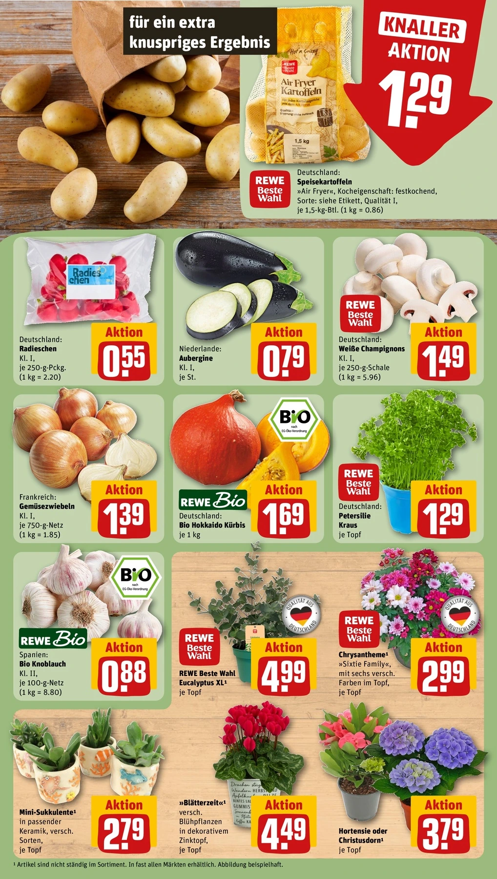 Flyer page 9