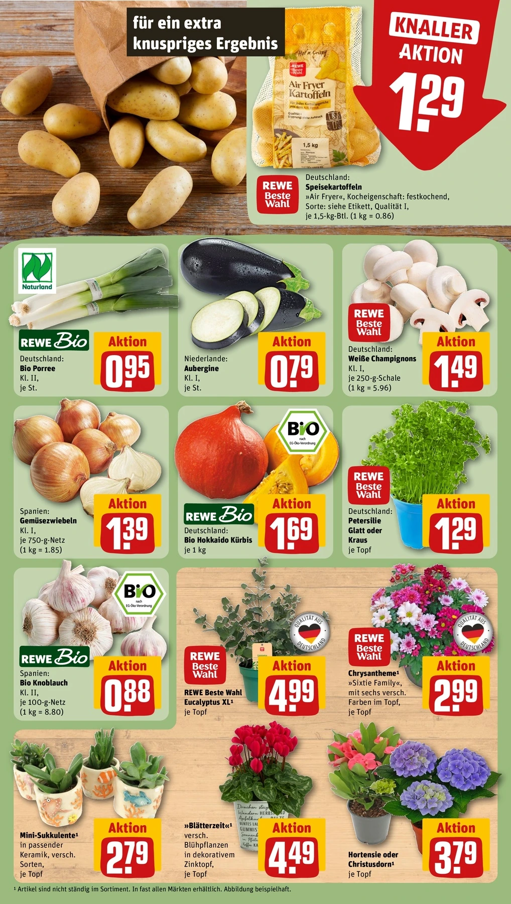 Flyer page 9