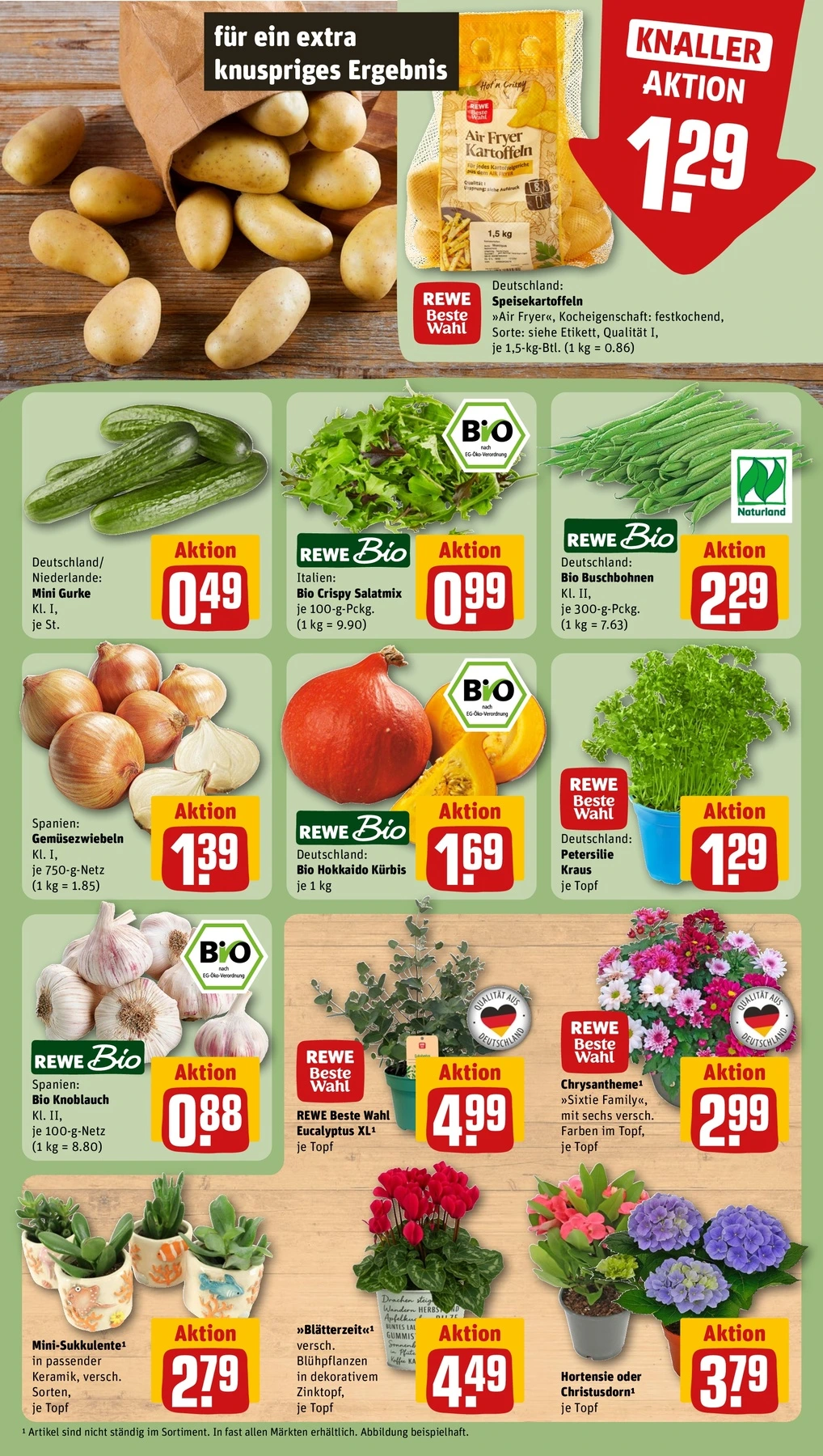 Flyer page 9
