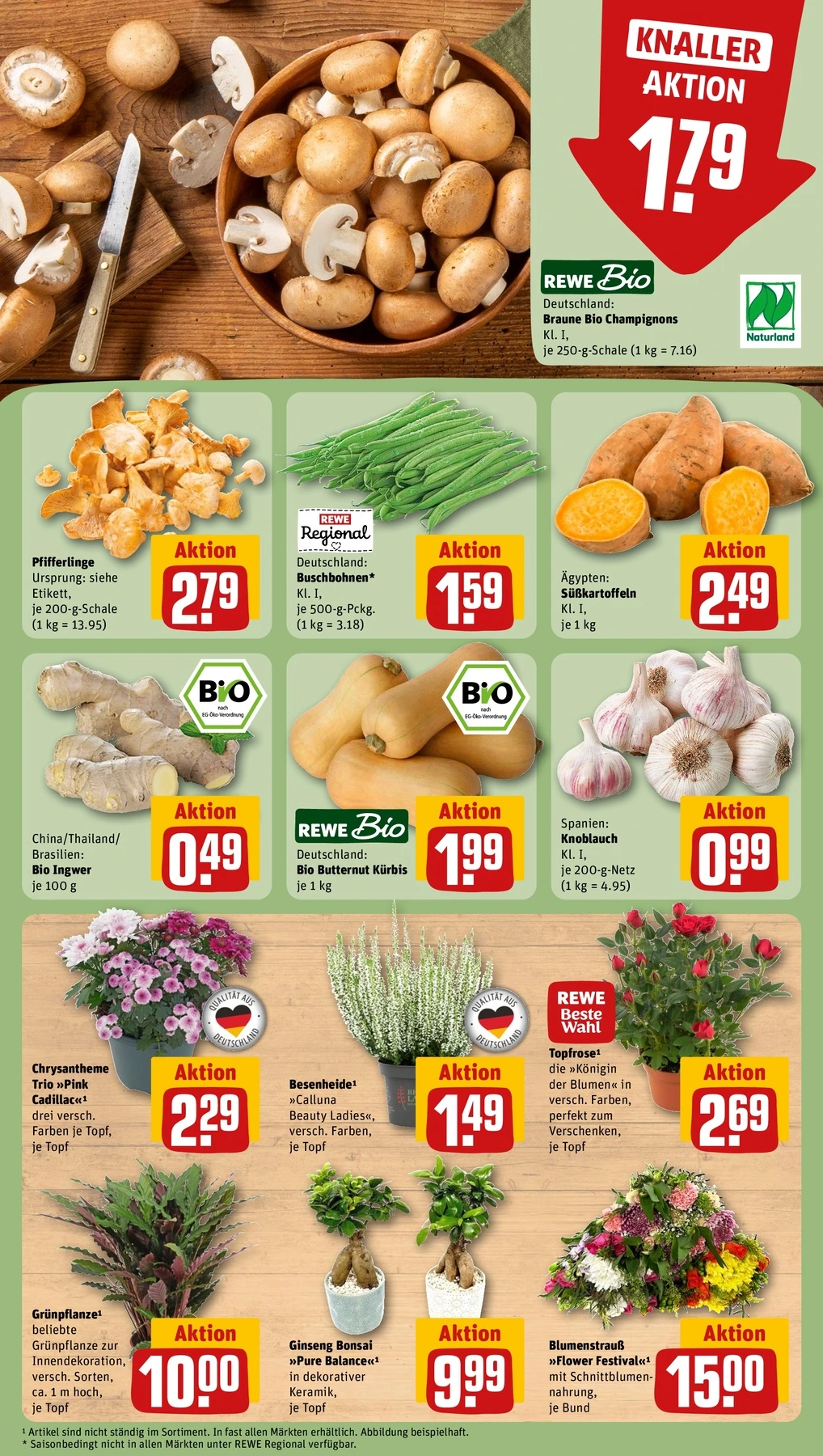 Flyer page 7