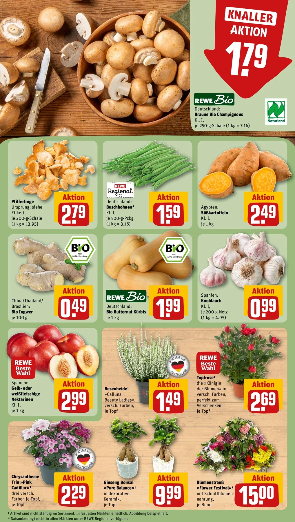 Flyer page 7