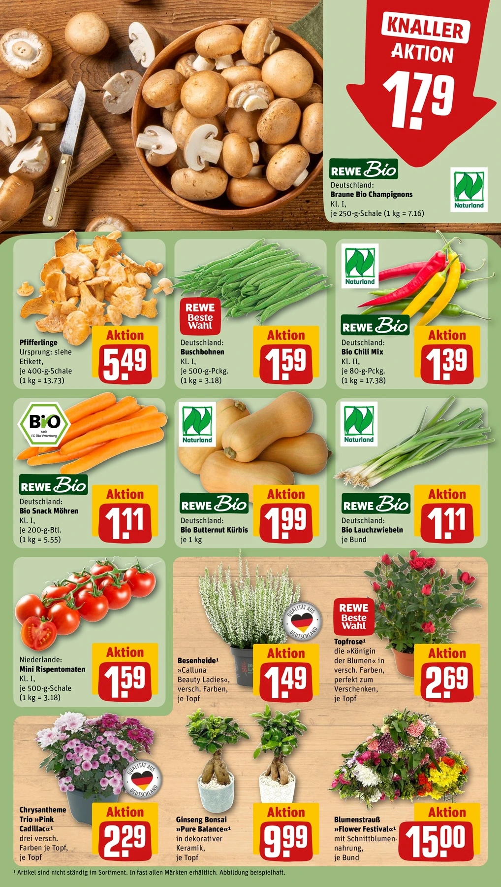 Flyer page 7