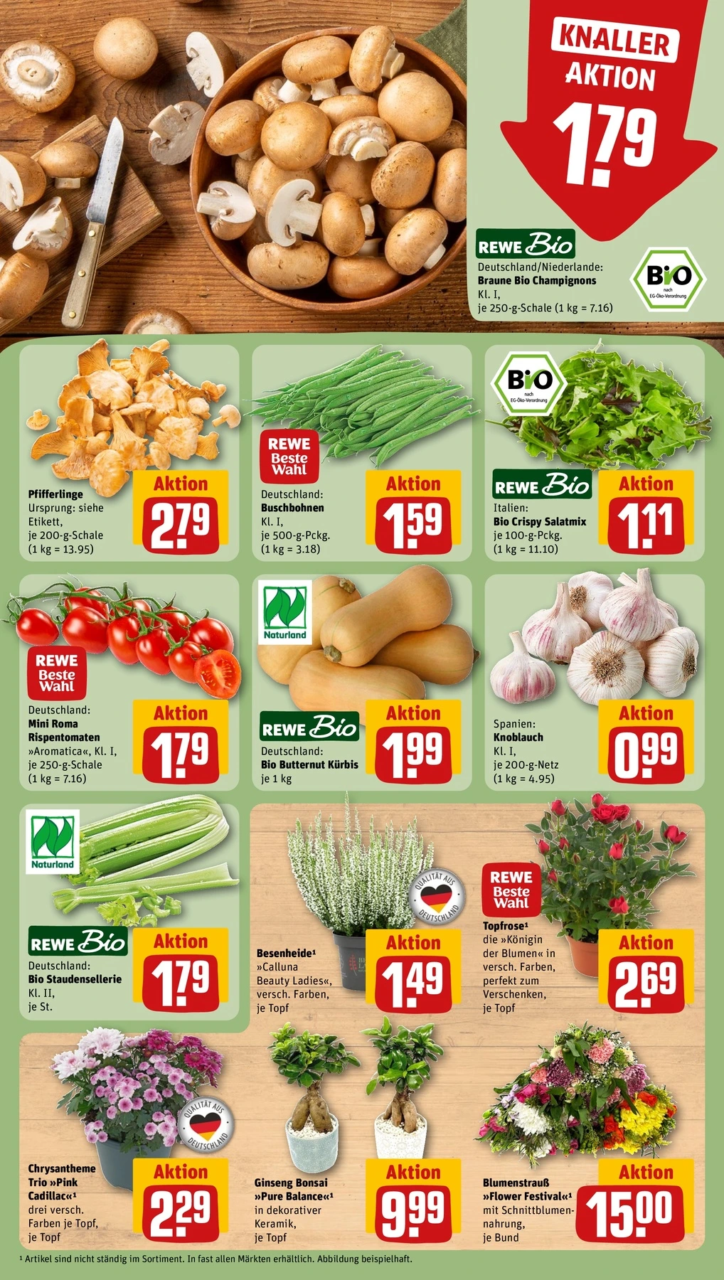 Flyer page 7
