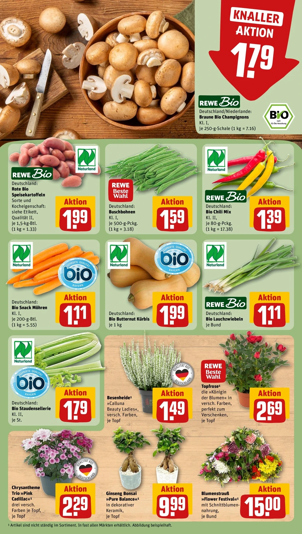 Flyer page 7