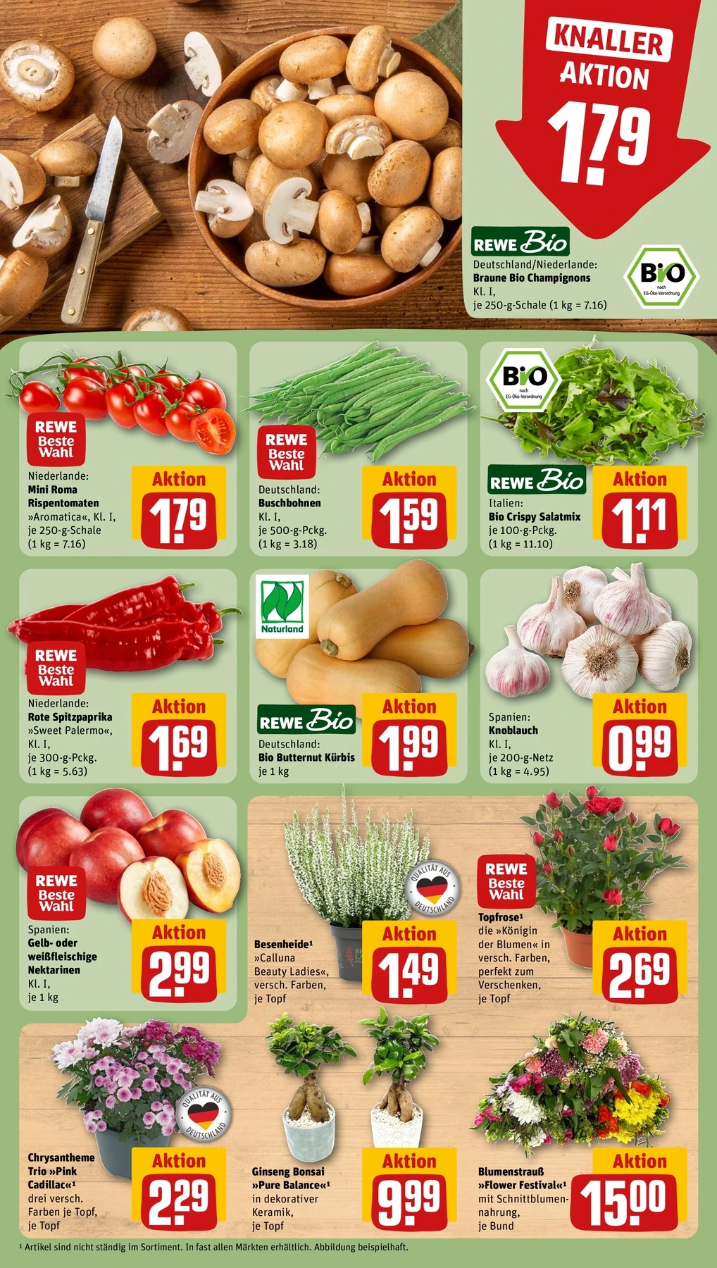 Flyer page 7