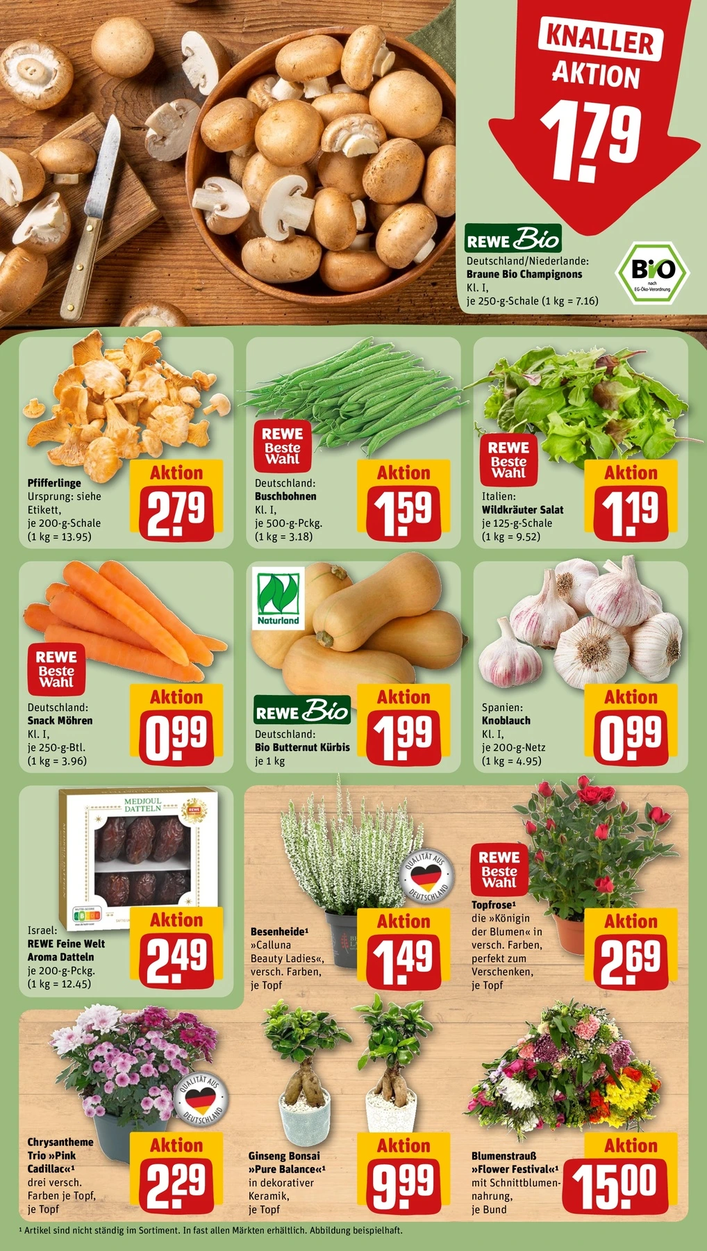 Flyer page 7
