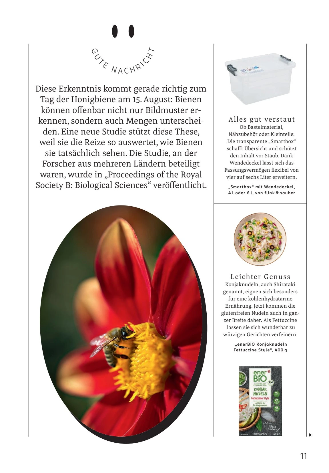 Flyer page 11