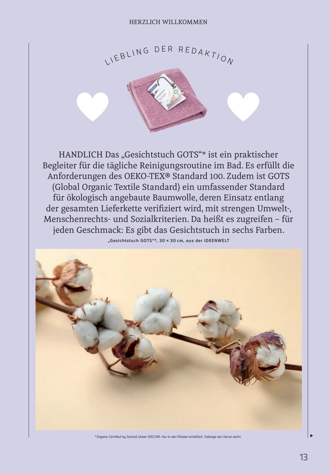 Flyer page 13