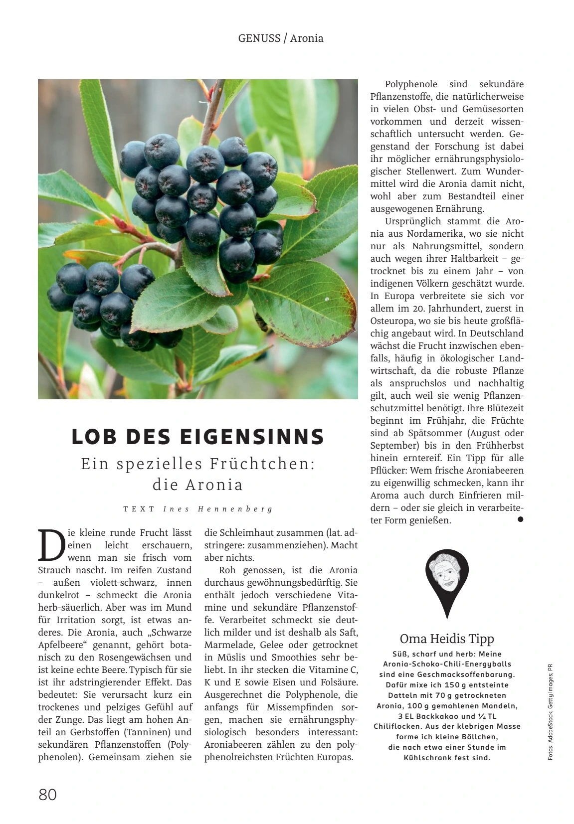 Flyer page 80