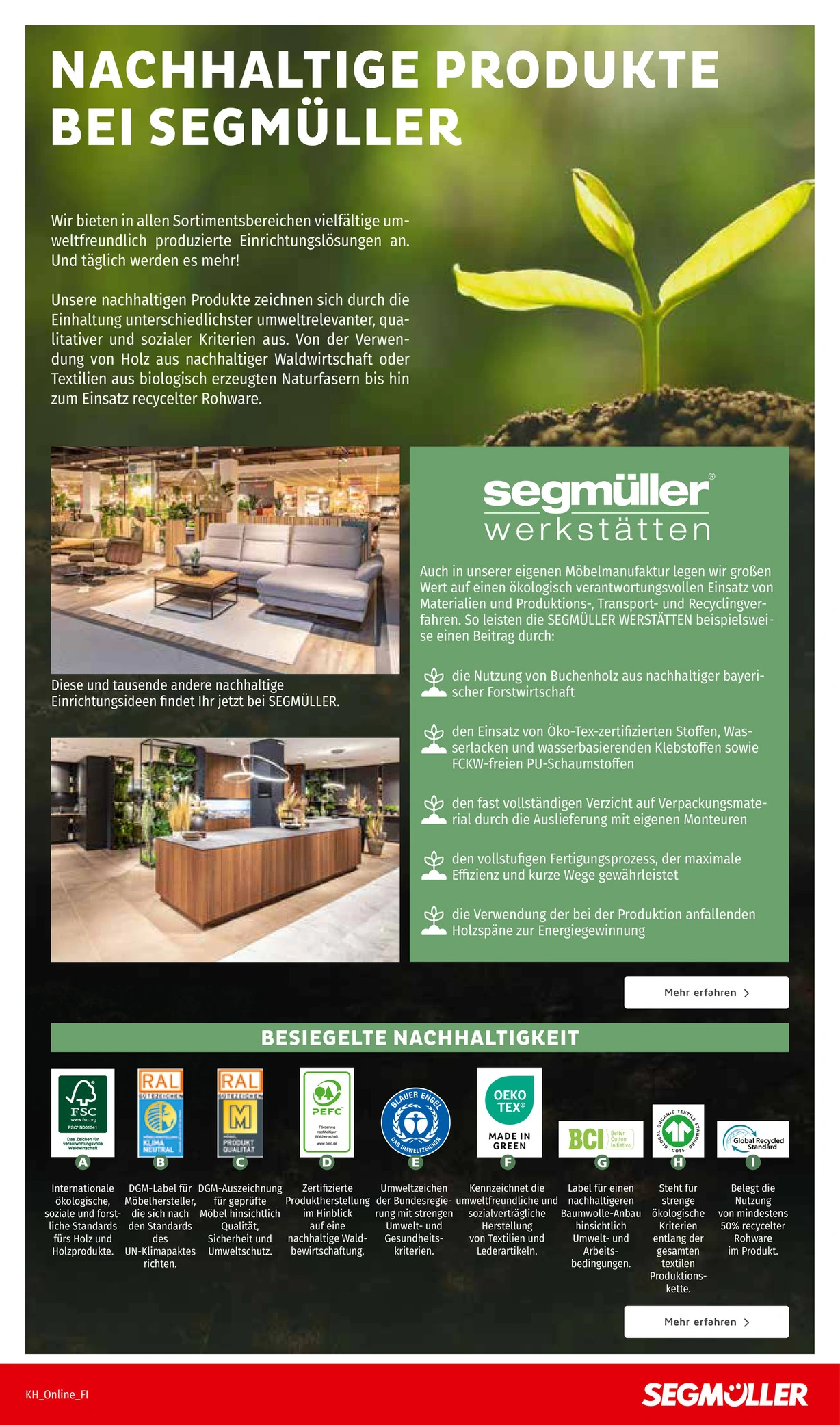 Flyer page 9
