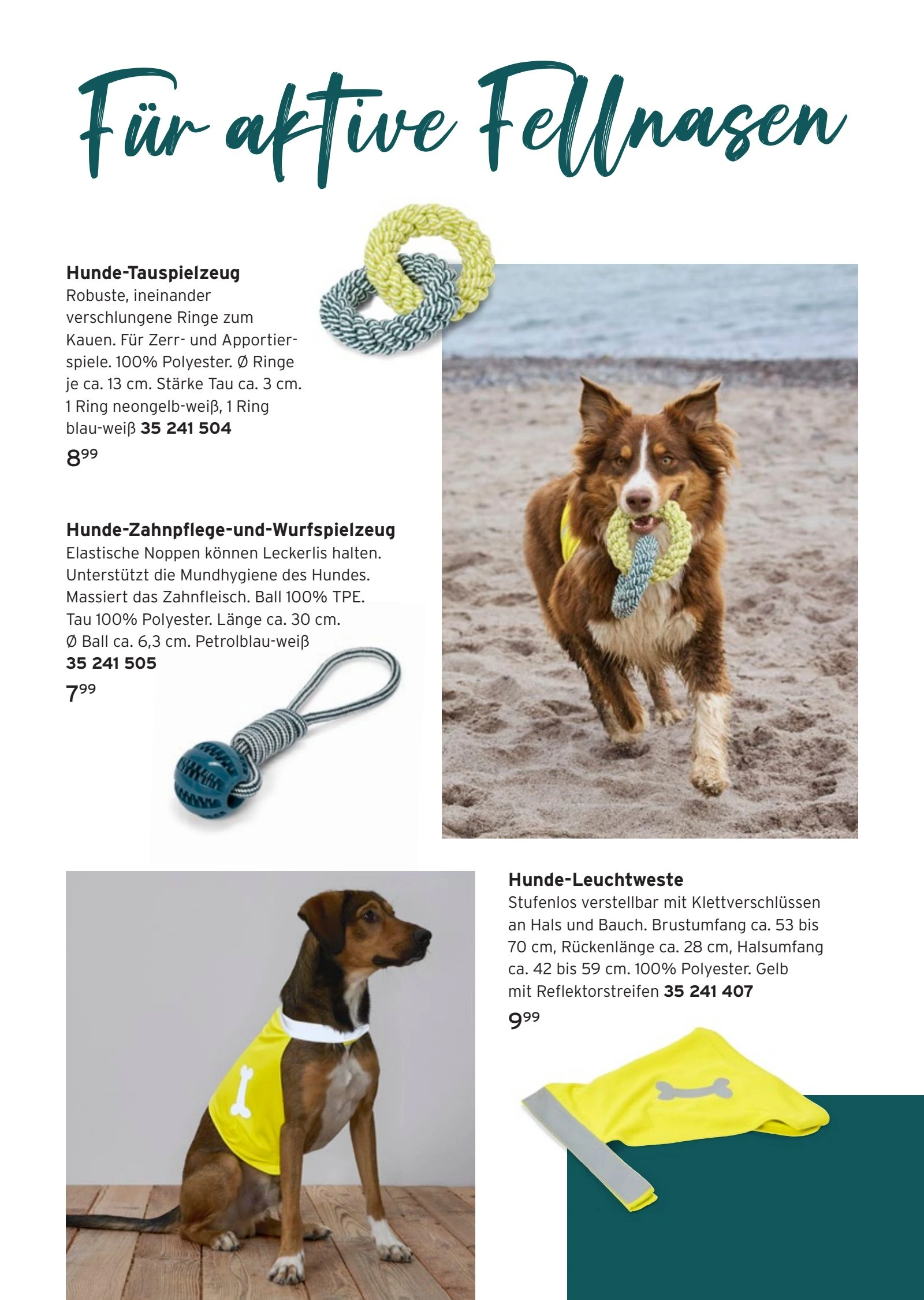 Flyer page 20