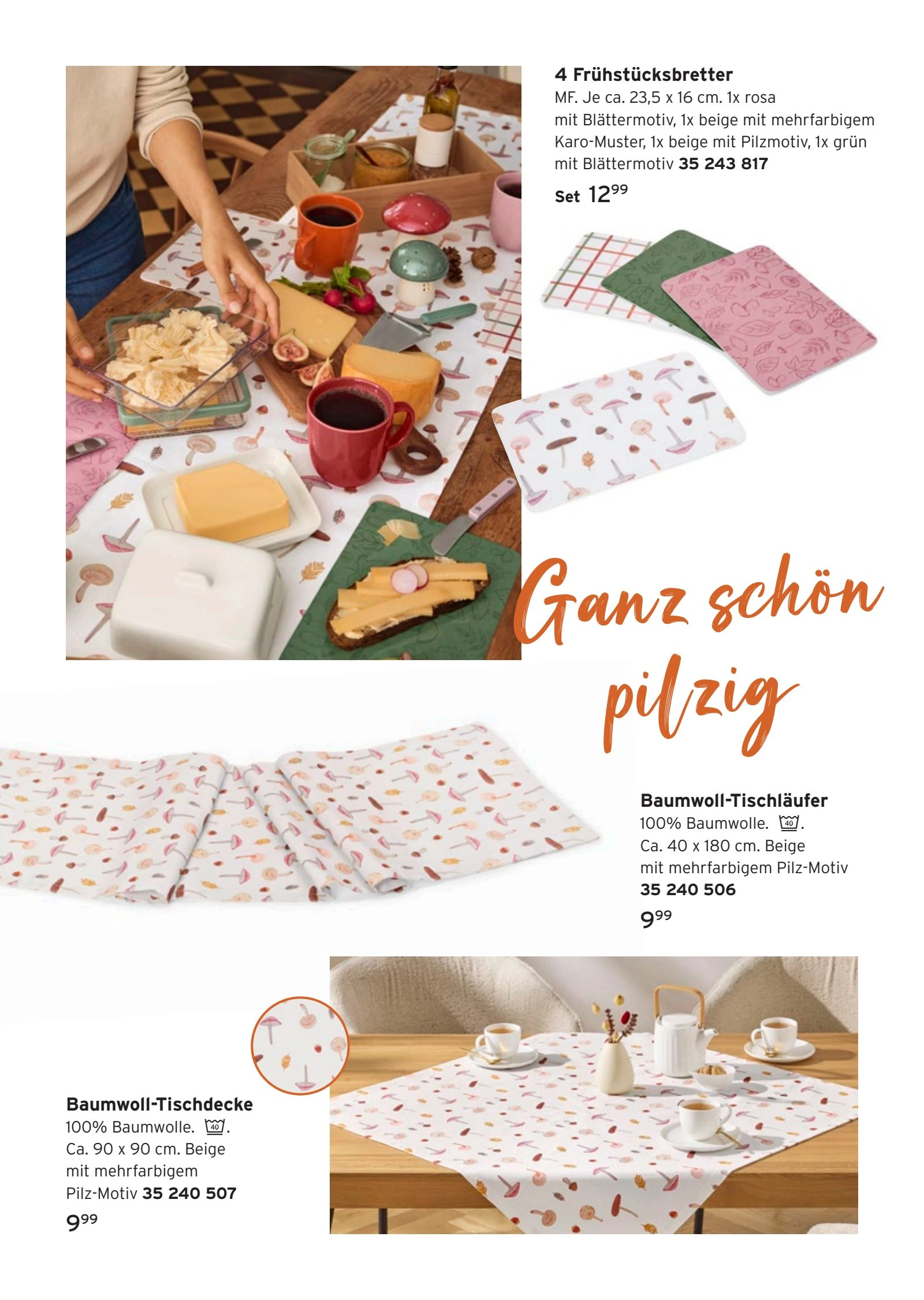 Flyer page 6