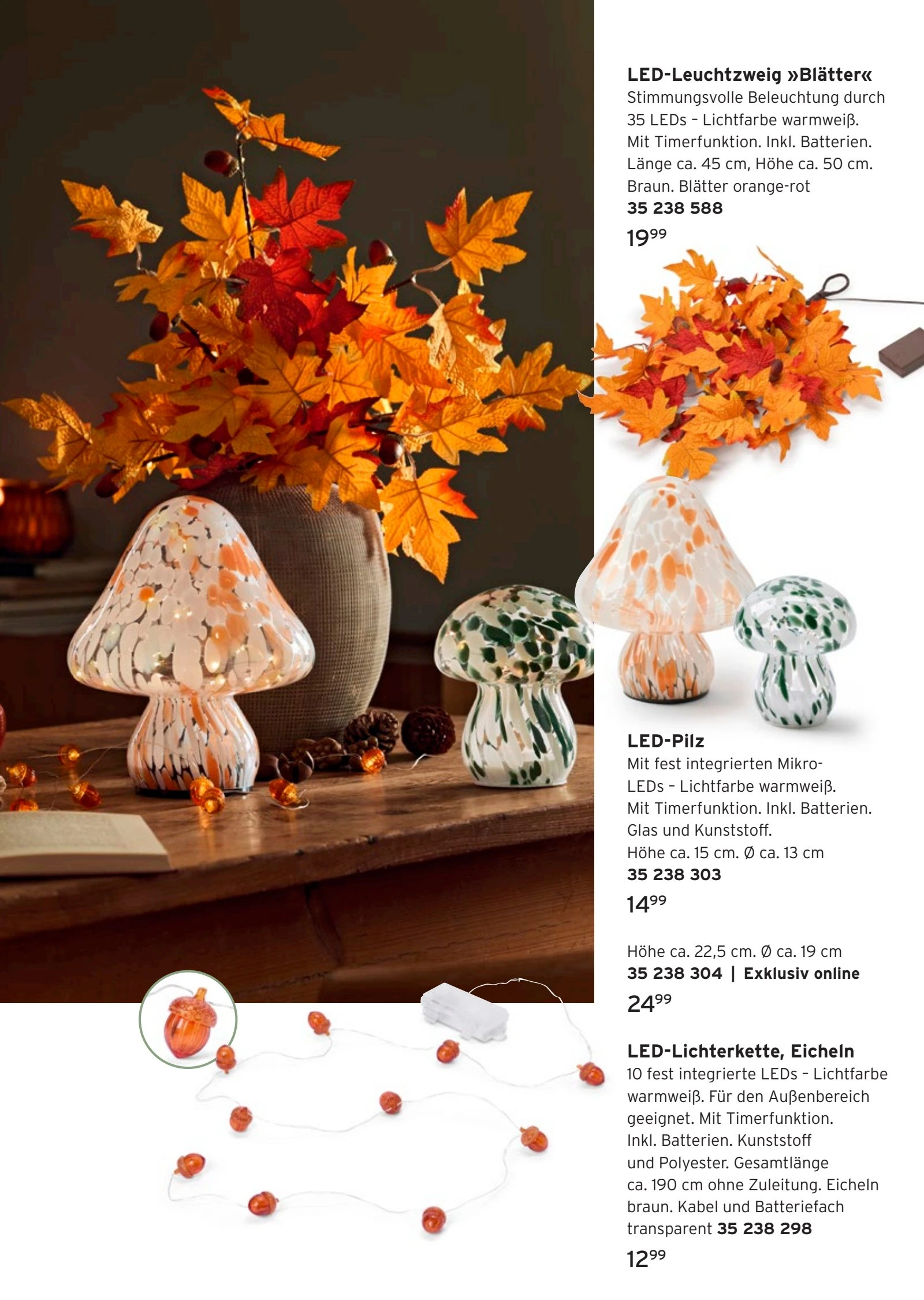 Flyer page 9