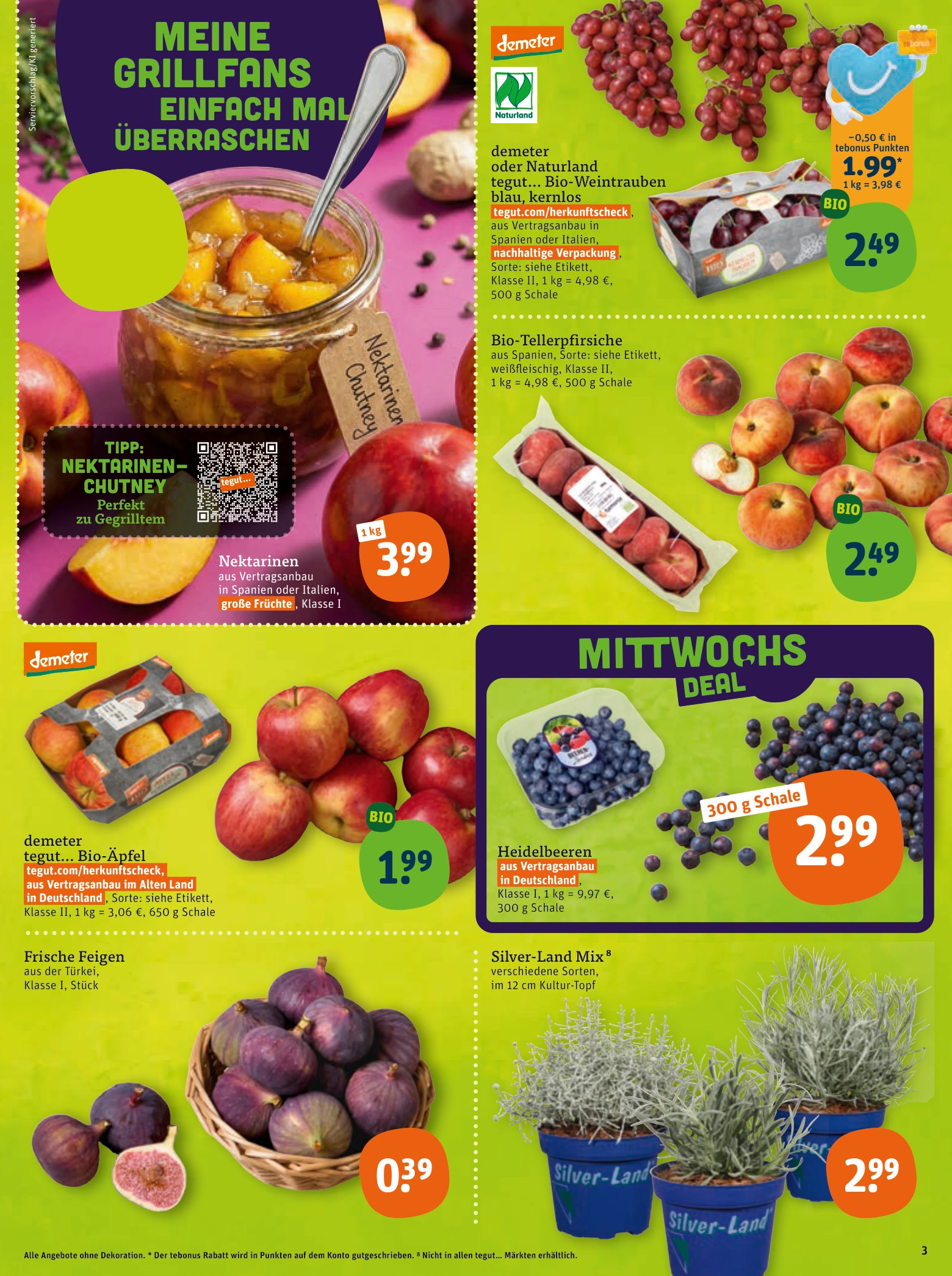 Flyer page 5