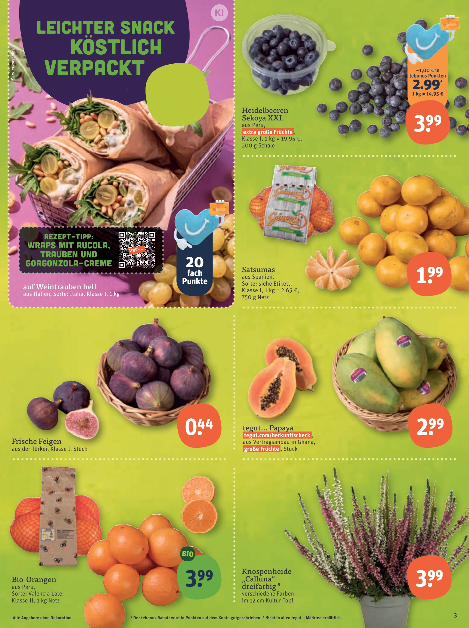 Flyer page 5