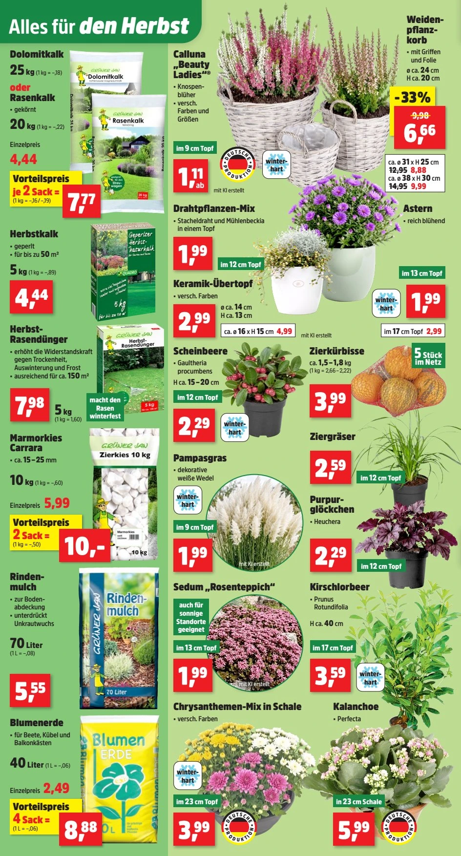 Flyer page 2