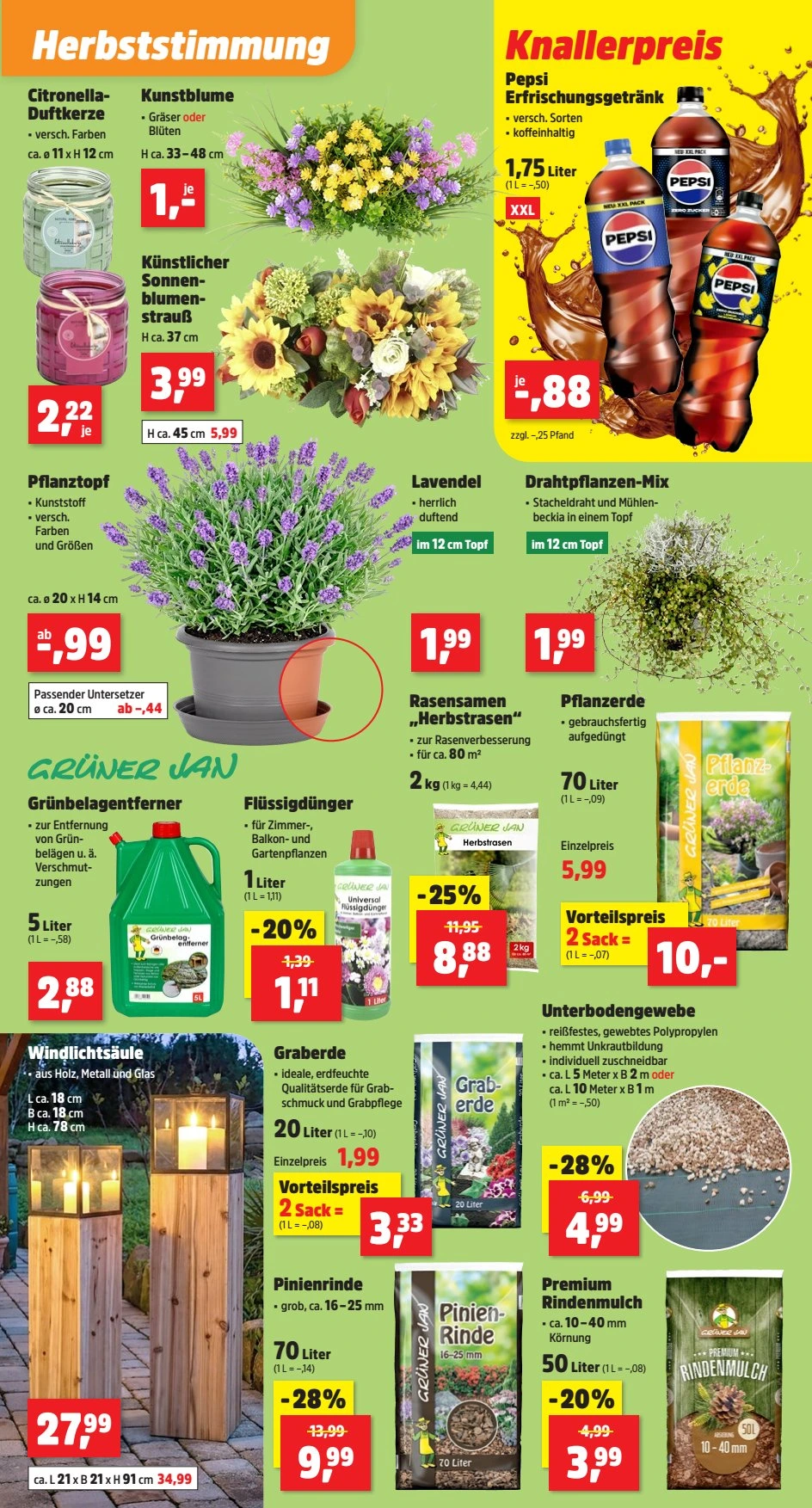 Flyer page 5