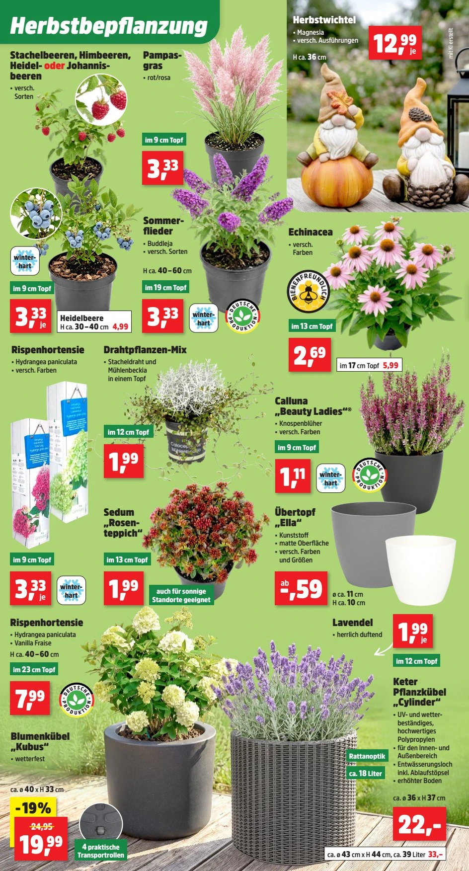 Flyer page 2