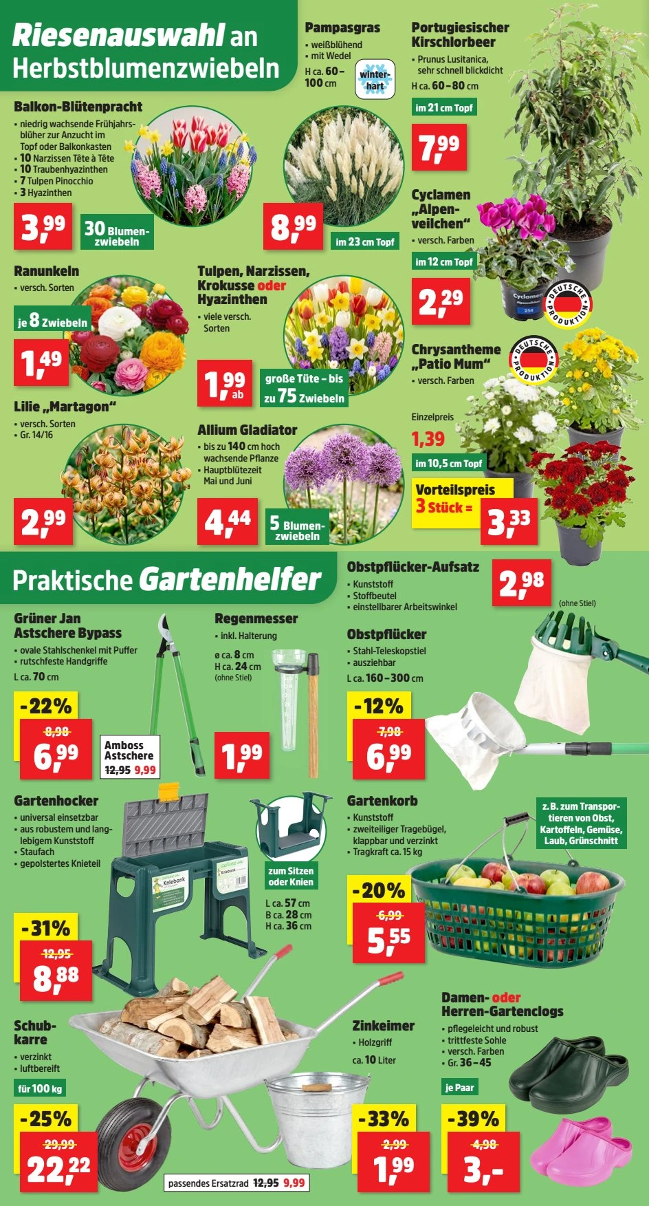Flyer page 2