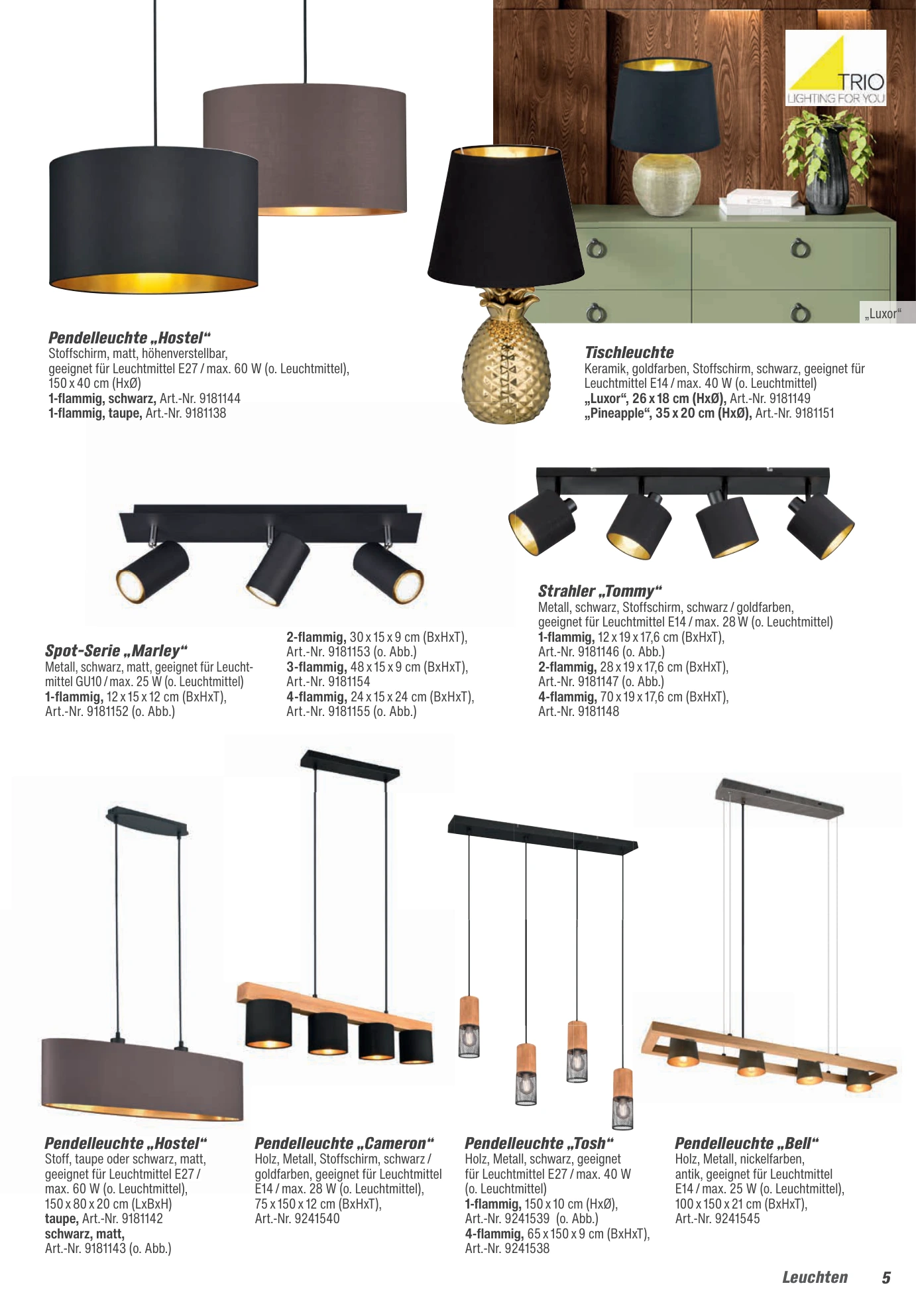 Flyer page 5