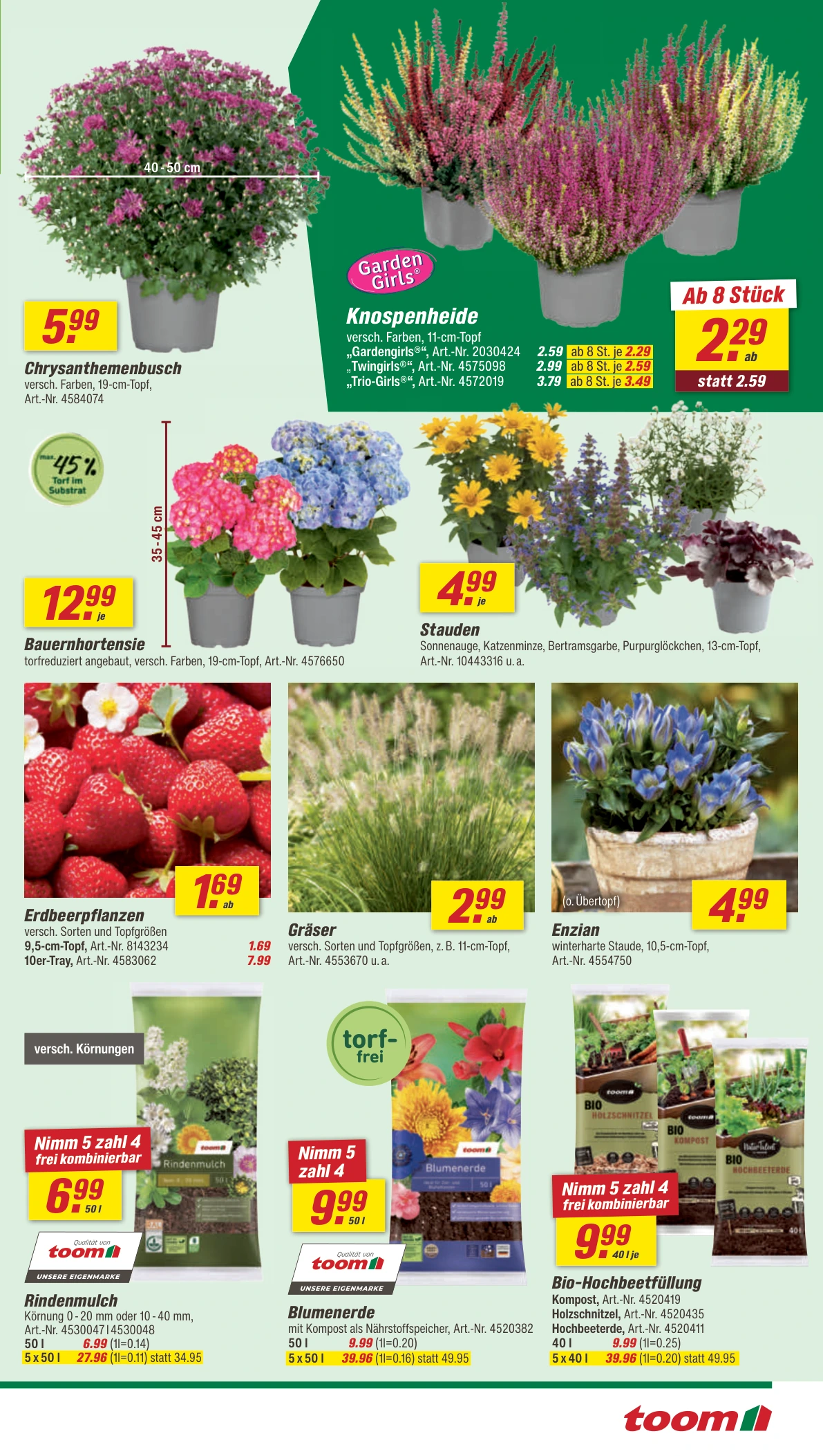 Flyer page 3