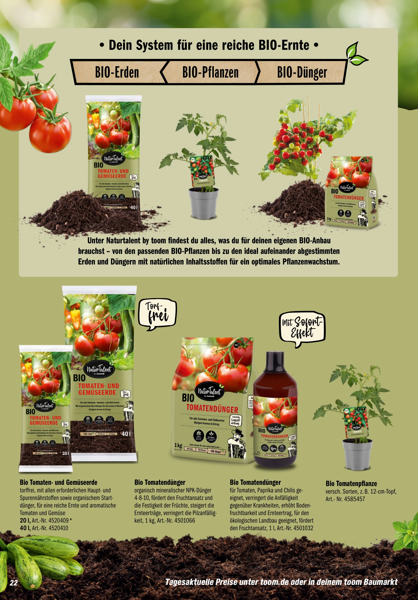 Flyer page 22