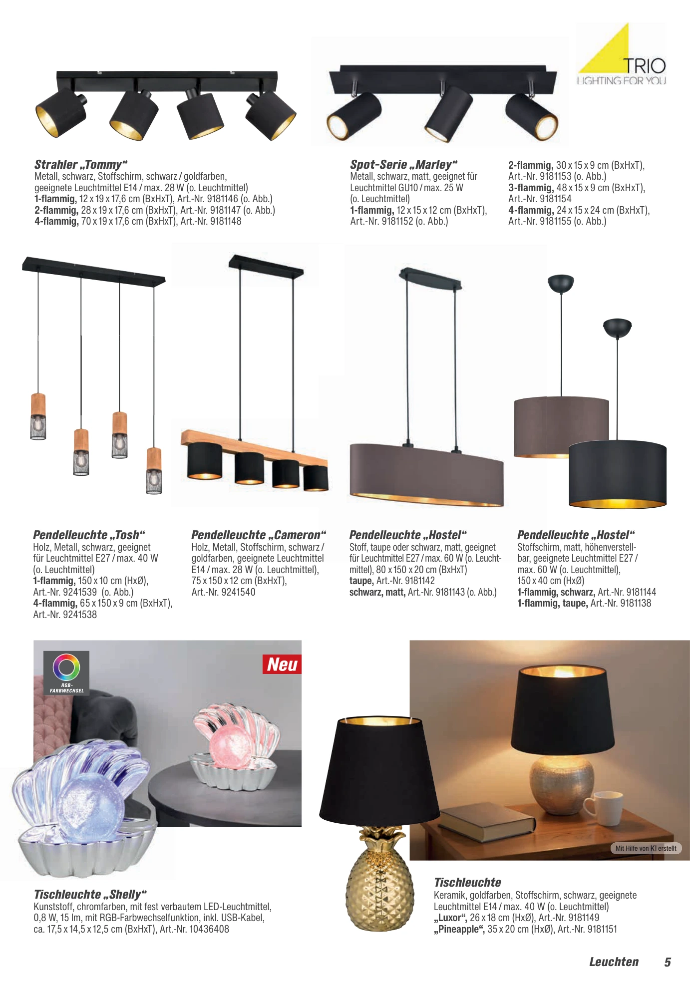 Flyer page 5