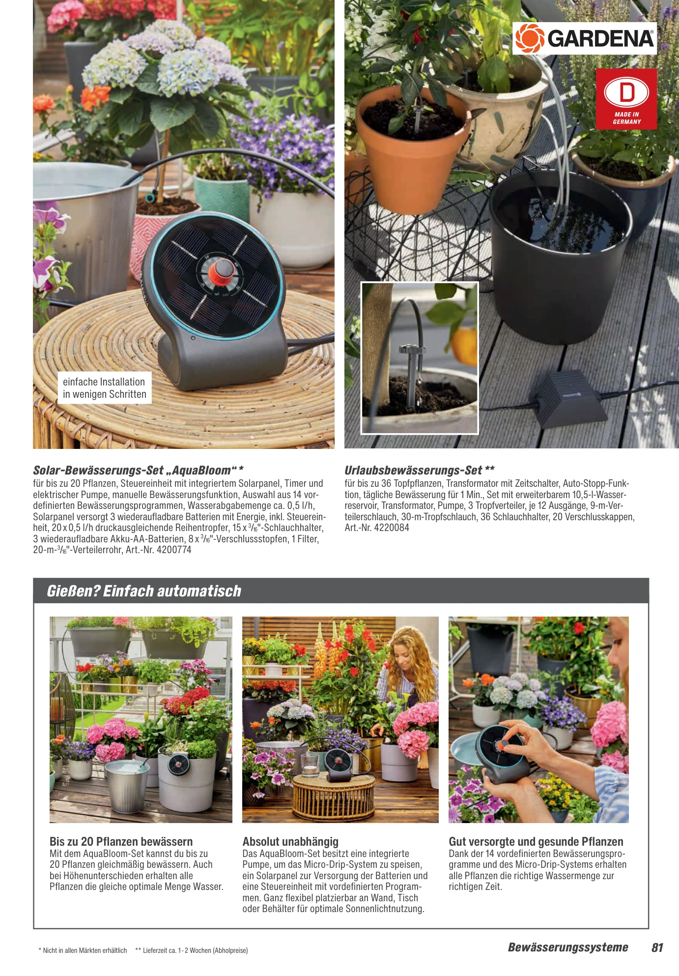 Flyer page 81