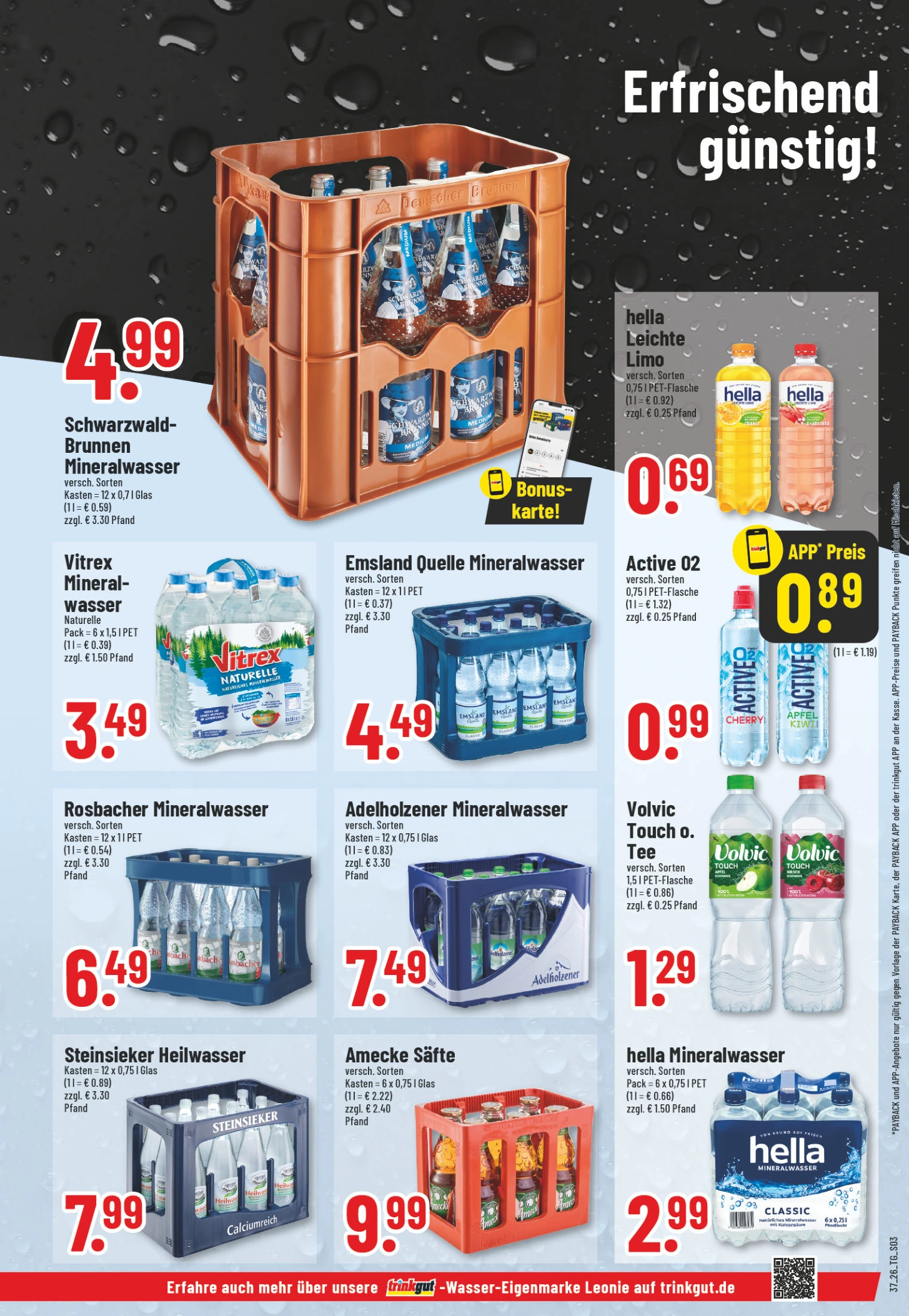 Flyer page 3