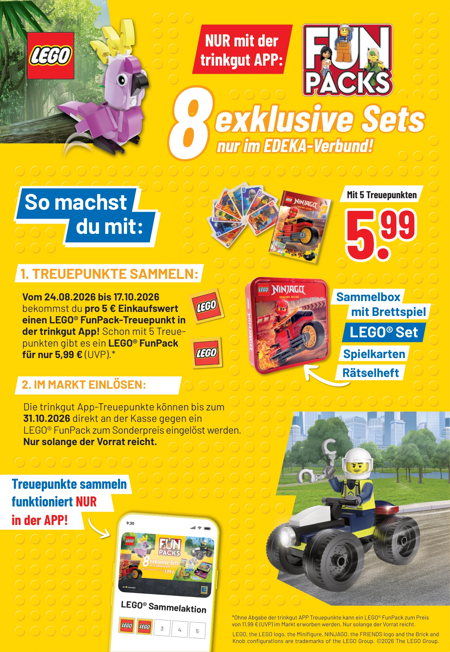 Flyer page 7