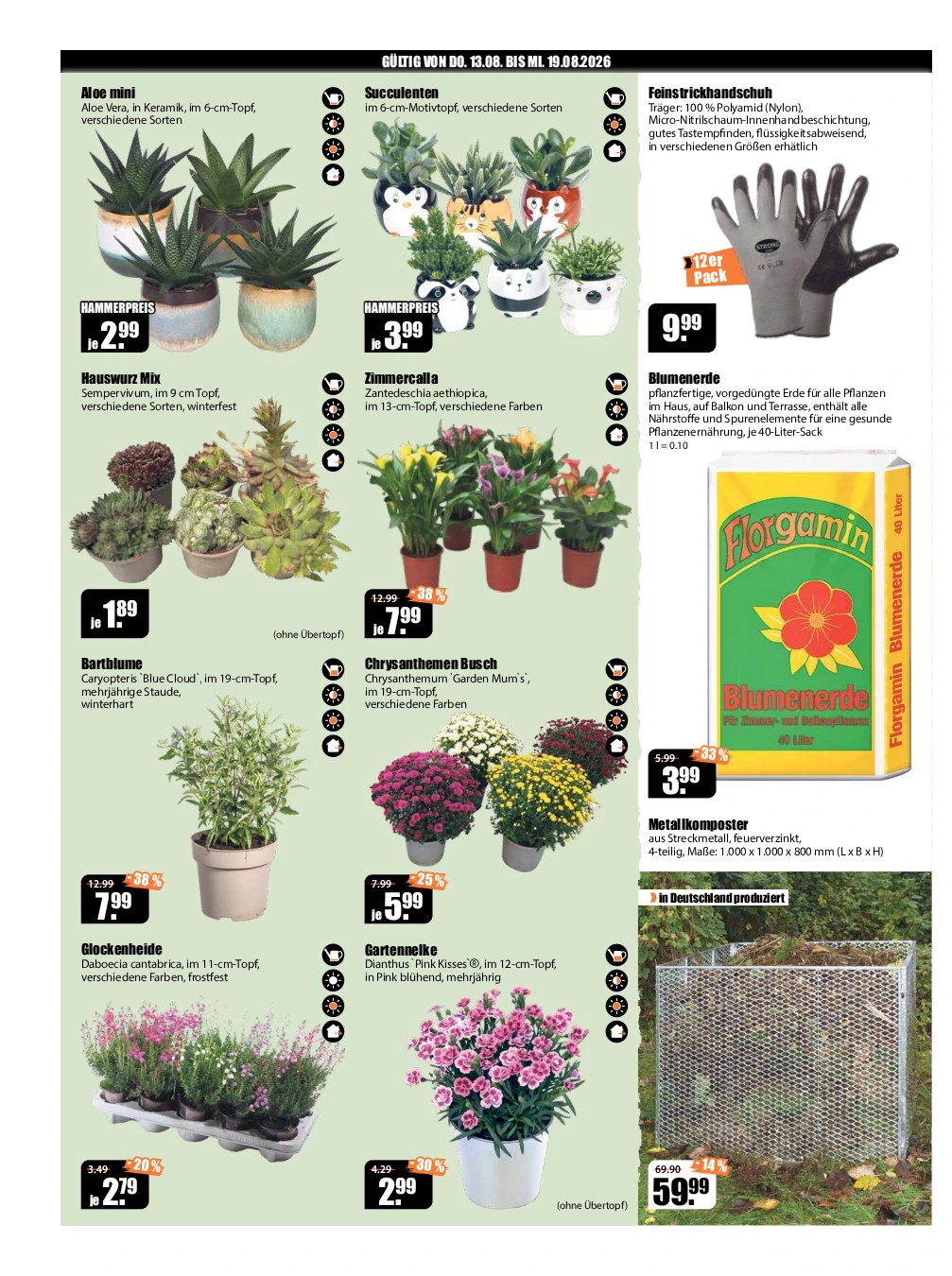 Flyer page 2